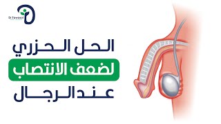 الحل الحزري لضعف الانتصاب عند الرجال