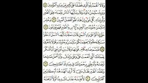 027 An Naml 1 تلاوة رائعة ومؤثرة لسورة النمل   القرآن مقسم أرباع للشيخ مشاري