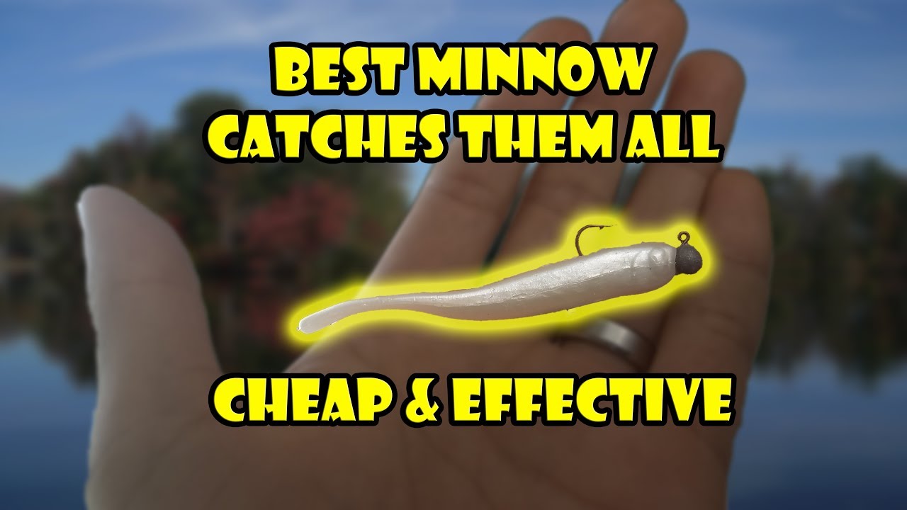 How to fish Berkley PowerBait Pro Twitchtail Minnow with Jig head 