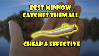How to fish Berkley PowerBait Pro Twitchtail Minnow with Jig head