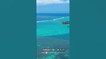 سورة السجدة و،.كا.نك تسمعها لأ،.و.ل مر.ة💕💙؛،🧡💛،.💗؛🌺💮بصوت الشيخ حمزة مد؛بو.ح ❣️💟.؛💘🧡🌻،.💚💞🌷