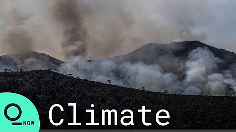 Spain Deploys Military Against Wildfire