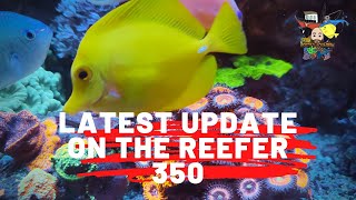 Redsea Reefer 350 update, Nano tank update and livestream update 👍