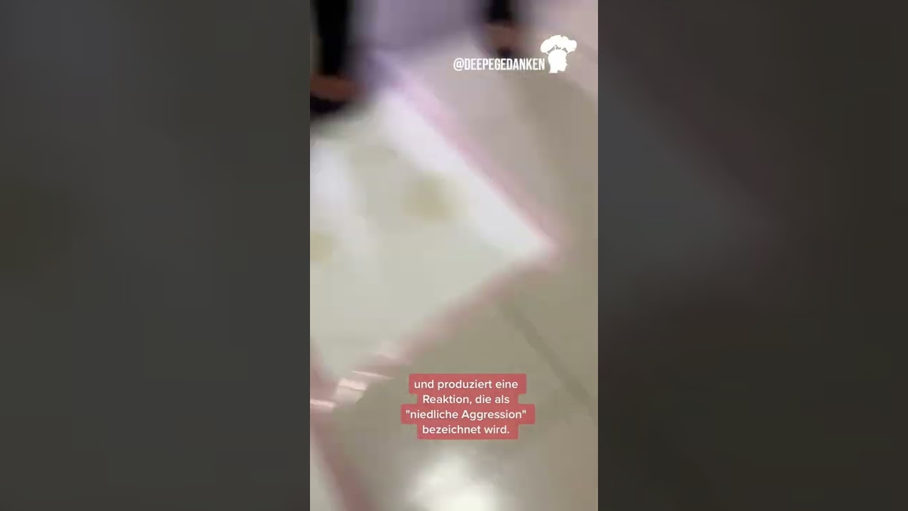 Schonmal was von der niedlichen Aggression gehört?