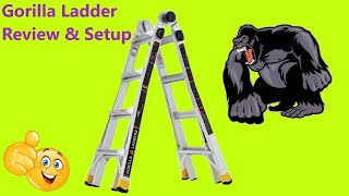 The Amazing Gorilla Ladder Review