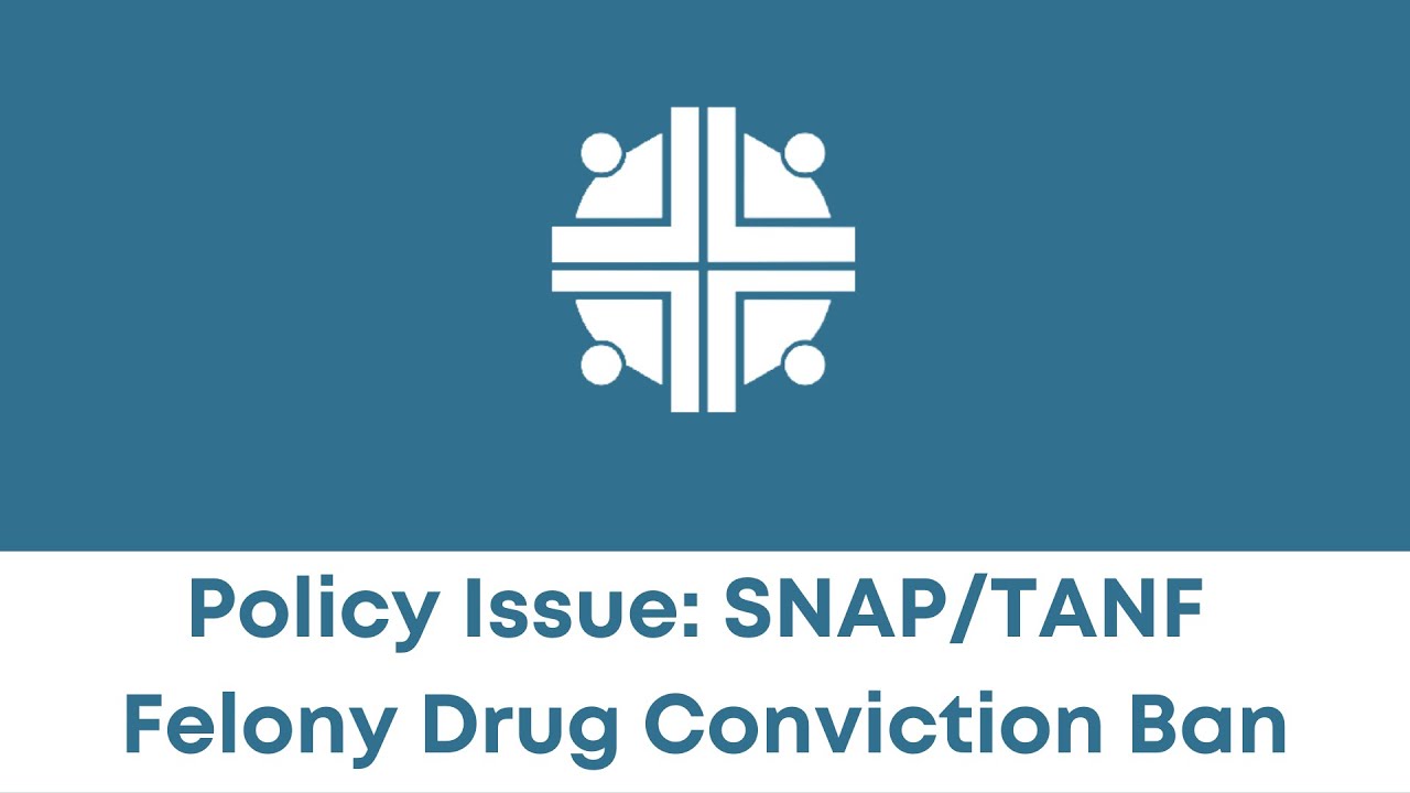 Advocacy Network Panel Policy Issue SNAP TANF Felony Drug Conviction