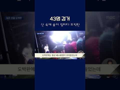 산도박 현장 검거 #shorts