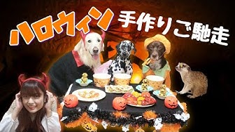 ハロウィン犬 Youtube