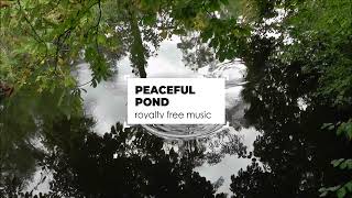 Peaceful Pond | Serene Instrumental Music | 100% Royalty Free Copyright Free Relaxing Soundtrack screenshot 5