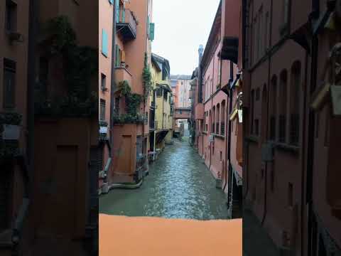 #bologna #italy #instagood #picoftheday #photooftheday #italia #travel #photography #emiliaromagna #bologna #italy #instagood #picoftheday #photooftheday #italia #travel #photography #emiliaromagna Thumbnail