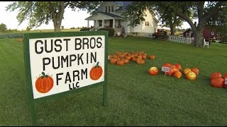 Gust Brothers Pumpkin Farm 2014