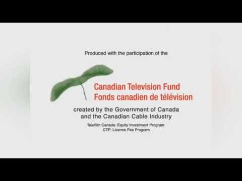 Logo Plasters 125 Being Ian 