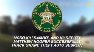 MCSO K9 RAMBO AND K9 DEPUTY MATTHEW HOOPER SUCCESSFULLY TRACK GRAND THEFT AUTO SUSPECT