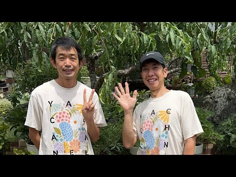 やっちゃんページ hqdefault.jpg