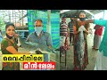 വൈപ്പിനിലെ മീൻ ലേലവും, ചീനവല വിശേഷങ്ങളും | Vypin Harbour Video