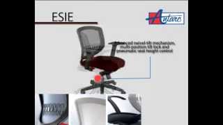 Antarc Esie