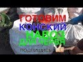 🐛088 🐛ГОТОВИМ СВЕЖИЙ КОНСКИЙ НАВОЗ ДЛЯ ДЕНДРОБЕНА ВЕНЕТА