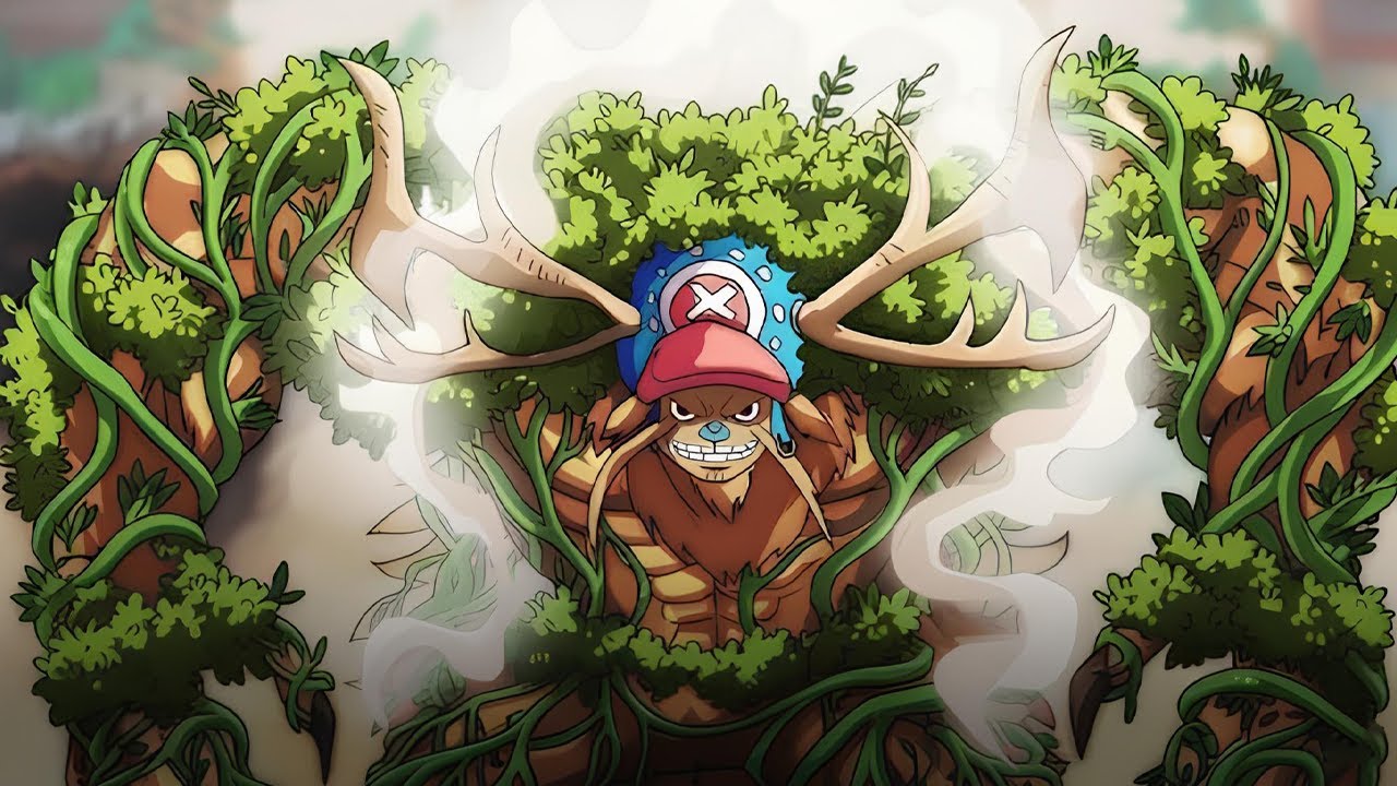 Chopper Reveals the Awakening of the Forest God Fruit for the First Time