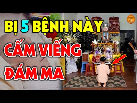 Video: Bệnh thoái hóa tủy (DM) ở chó