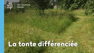 La tonte différenciée : une bonne pratique écologique et économique !