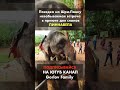 Чудесные слоны на Шри-Ланке 🐘😍