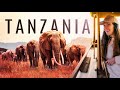 Better than the Serengeti?! Insane Tanzania Safari (Tarangire National Park)