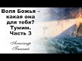 Александр Пышный - Воля Божья какая она для тебя. Часть 3. Тумим.