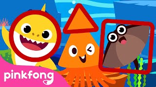 Learn Shapes with Squid🦑 & Baby Shark 🔵🔺◾️ |+Compilation | Pinkfong Shape Songs for Children