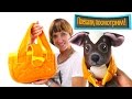 Играем в Магазин - Игрушки для кошки - Едем в ЗООМАГАЗИН