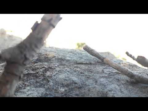 سأقبل يا خالقي من جديد عبد العزيز سحيم