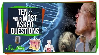 World's Most Asked Questions: Ten of YOUR Most Asked Questions! World's Most Asked Questions: Ten of YOUR Most Asked Questions!