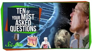 World's Most Asked Questions: Ten of YOUR Most Asked Questions!