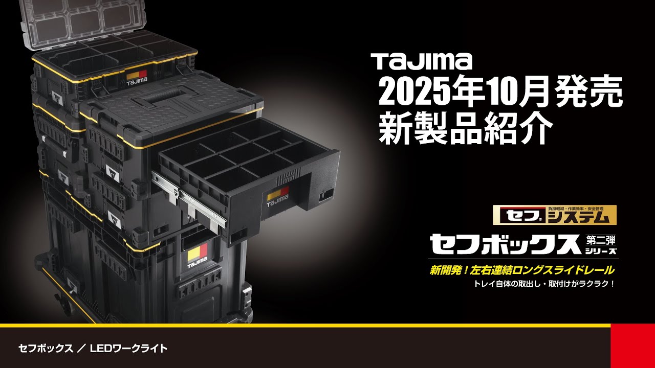 【受注生産限定品】新品未使用未開封 ダストセル 香水　EMAとMisumi調合 Perfume ZO/Z5 Anniversary 