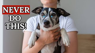 SHOCKING TRUTH: 15 Things a Dog Will NEVER Forgive!
