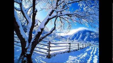 سورة القصص | القارئ الشيخ مأمون الشمالي