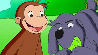 犬の学校！？ 🐵 おさるのジョージ