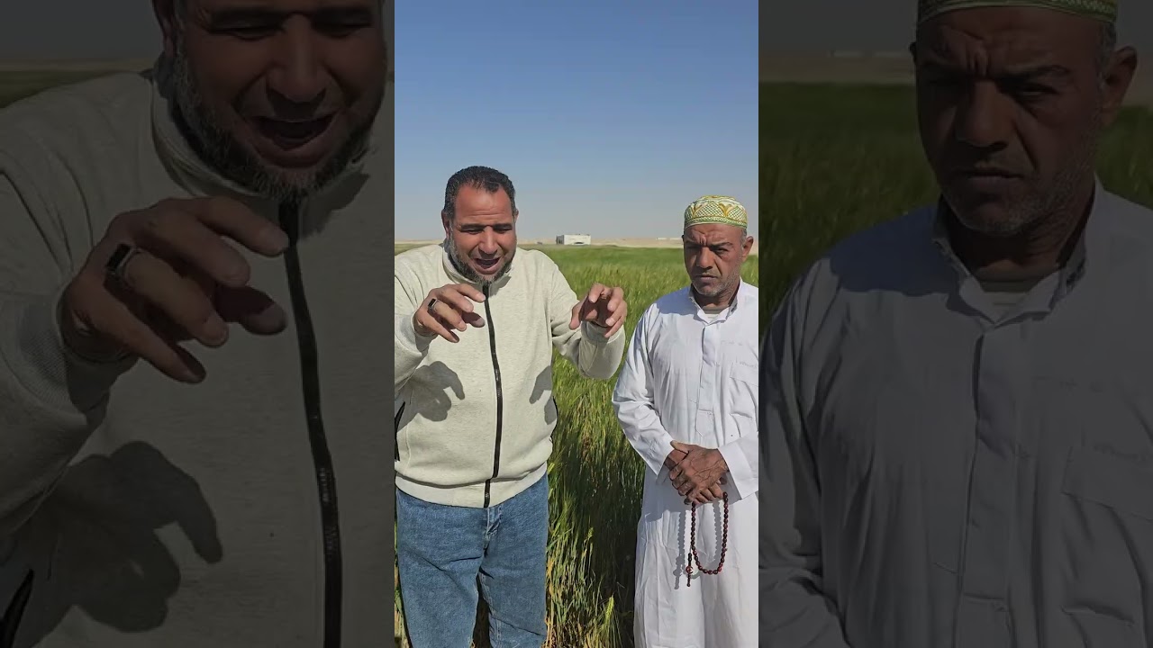 فرحتي بزرعي زي فرحتي بمولودي  قصه نجاح تامر من  القاهره  للحجز 01008791285م اسامه الفار