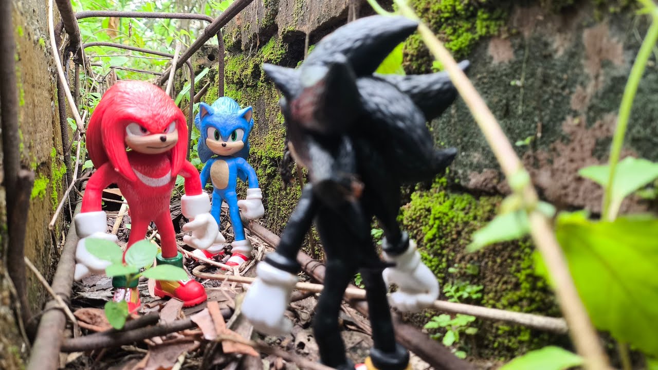 Sonic Hedgehog, Sonic Shadow, Knuckles, Tails, Metal Sonic, Super Sonic, Metal Sonic, Super Shadow