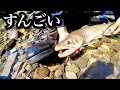 すんごいの連続しすぎて脳がバグってしまう恐れがある動画
