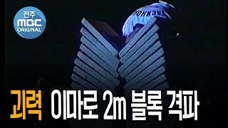 유럽의 사부 이근태 총재의 괴력   2m 높이 시멘트 블록 격파.  2m Cement block breaking of Grandmaster Lee Keuntae(Taekwondo) screenshot 3