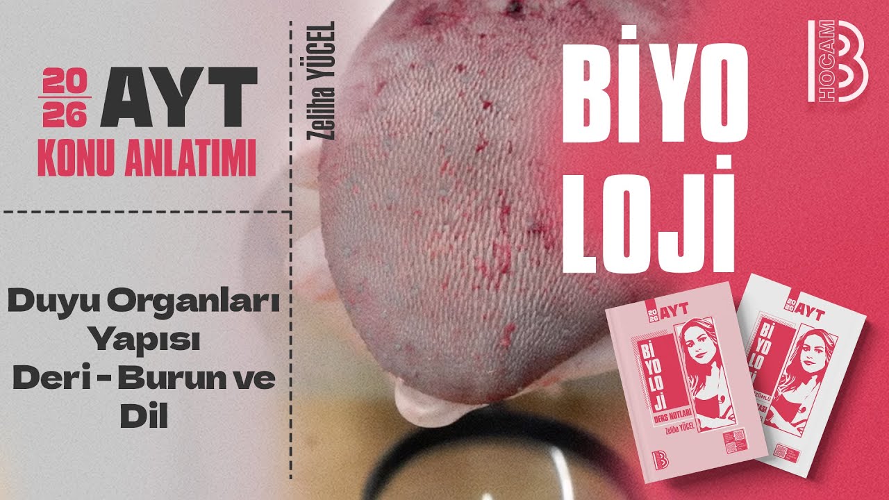 6) AYT Biyoloji - Duyu Organları Yapısı - Deri - Burun ve Dil - Zeliha YÜCEL - 2026