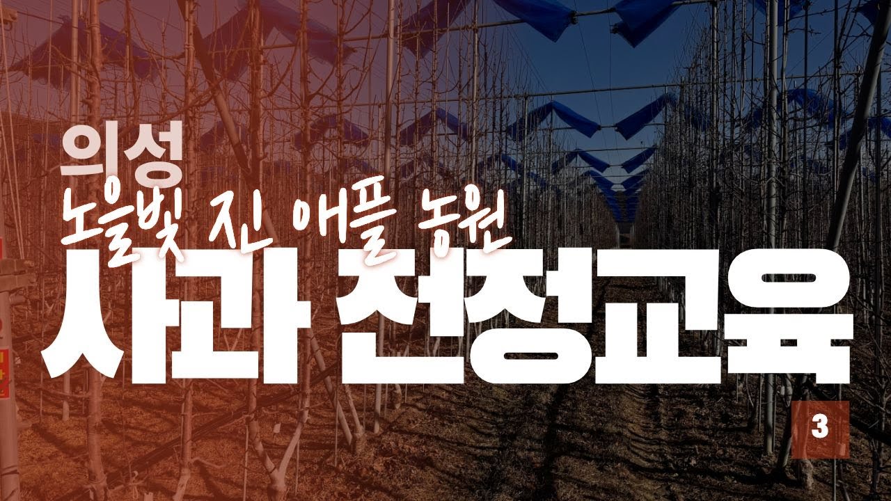 의성 노을빛 진 애플농원 동계 전정교육 3