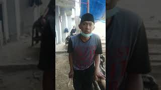 Download Lagu posisi di mana gaes MP3 Download Lagu posisi di mana gaes MP3