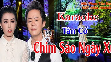 Karaoke Tân Cổ Mới Song Ca CHIM SÁO NGÀY XƯA/PHAN TẤN ĐẠT & VÕ NGỌC QUYỀN