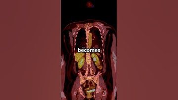 The electron: weaving the fabric of the cosmos