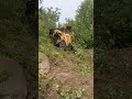 Breaking through the brush to build a new fence line