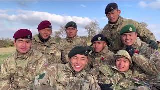 Journey through 9 months |CATTERICK| 2019