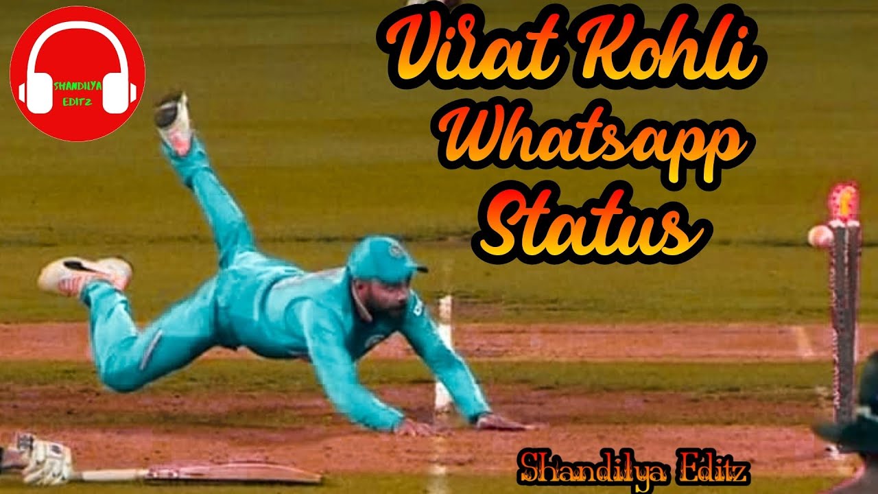 Virat Kohli Status Video | Virat Kohli Video | Virat Kohli fielding | Virat Kohli Catches | #virat