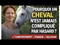 Pourquoi un cheval n'est jamais compliqué par hasard?
