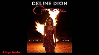 06.Celine Dion - Imperfections